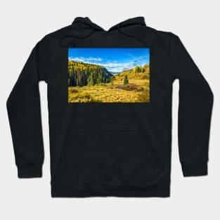 Cumbres and Toltec Narrow Gauge Railroad Hoodie